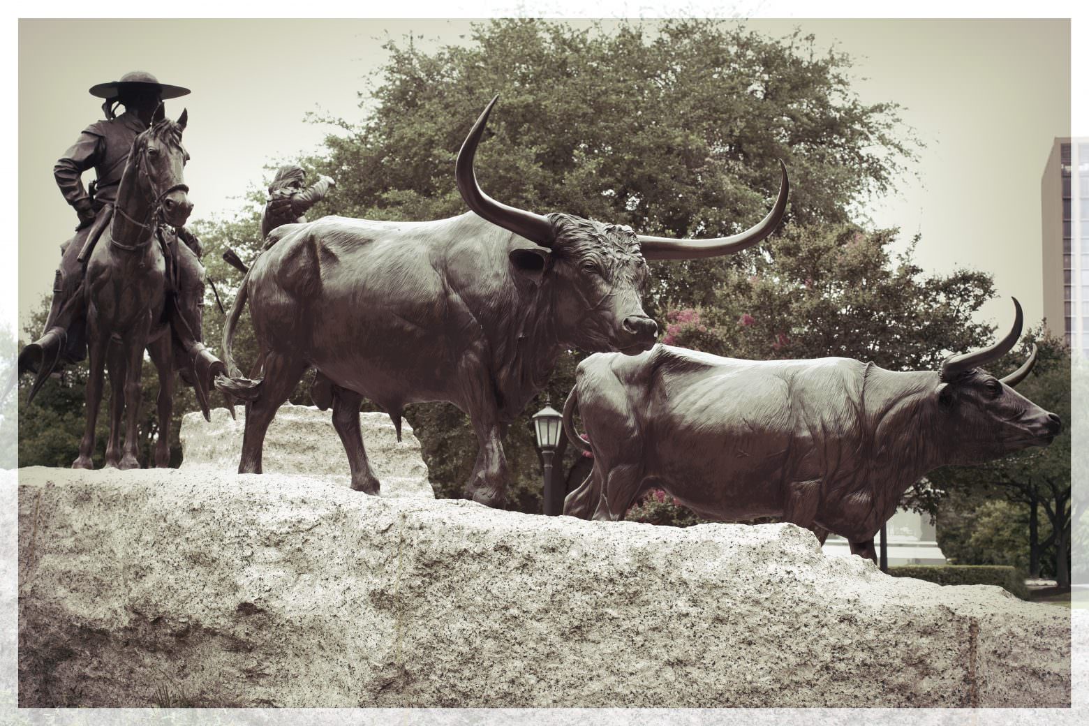 Texas Capitol Grounds Bulls