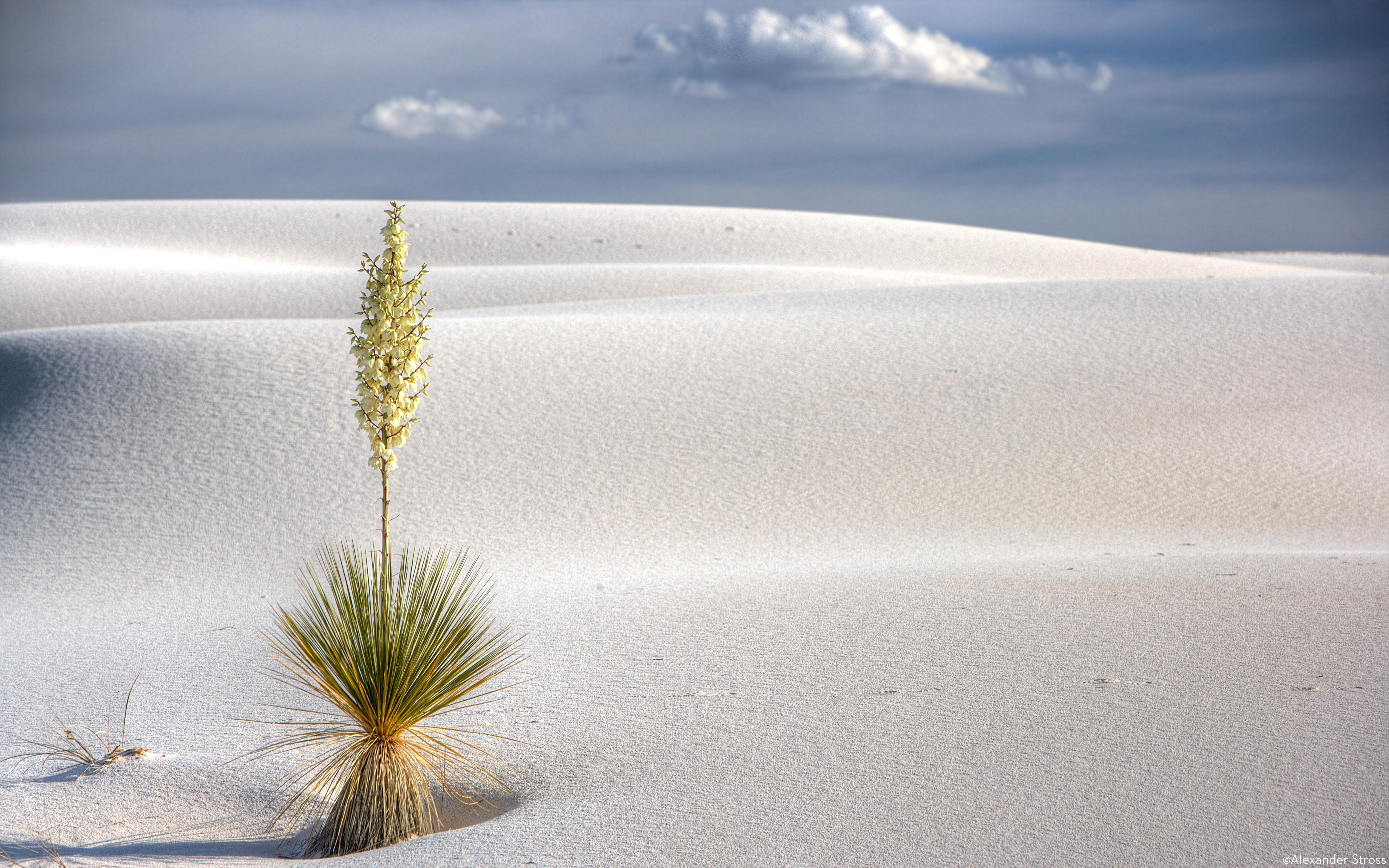 White Sands New Mexico 6