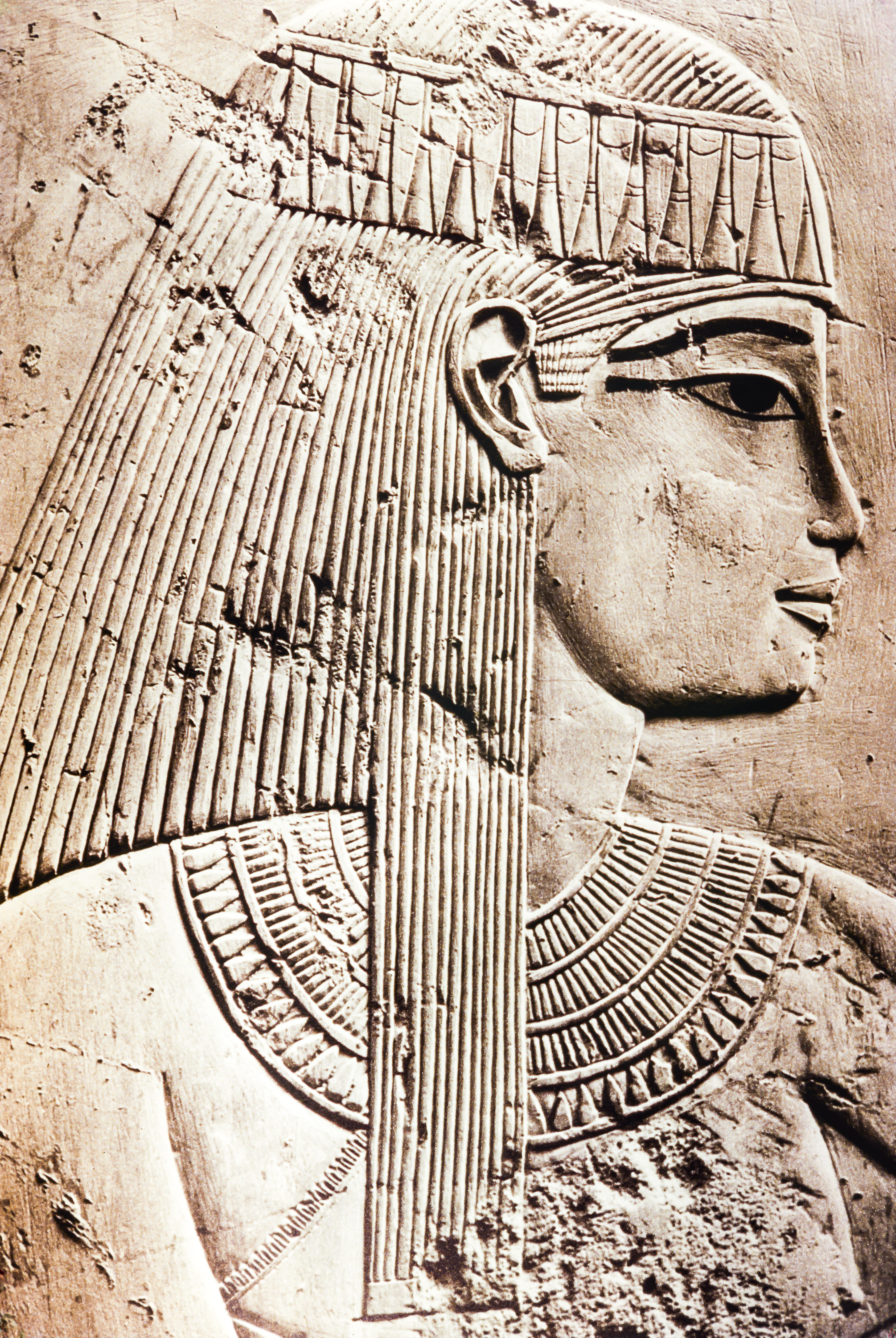 Egyptian Relief Closeup