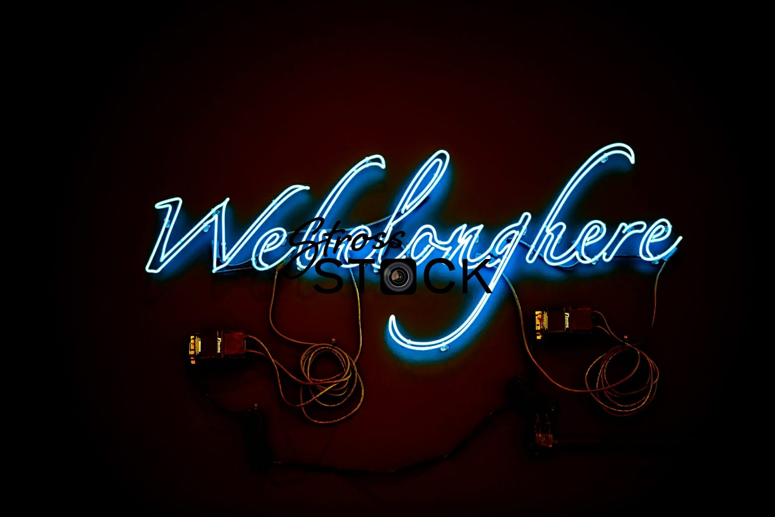 Neon Sign Webelonghere
