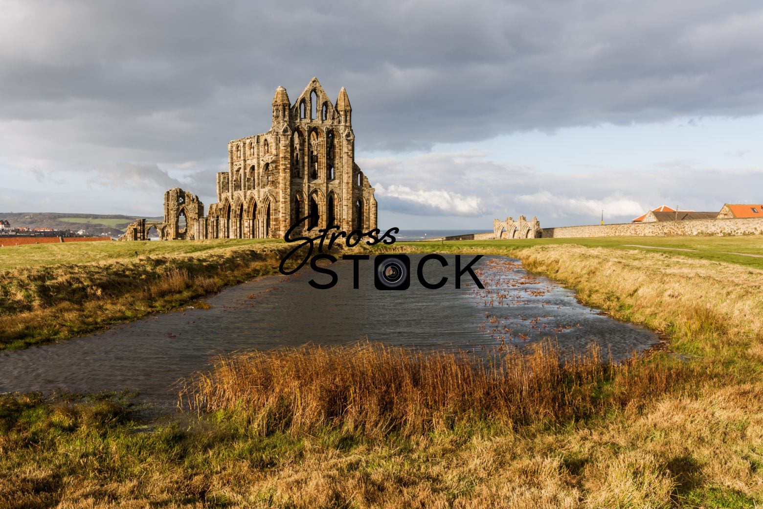 Whitby Abbey on a sunny day